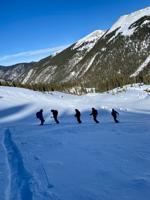 Snow Voyagers